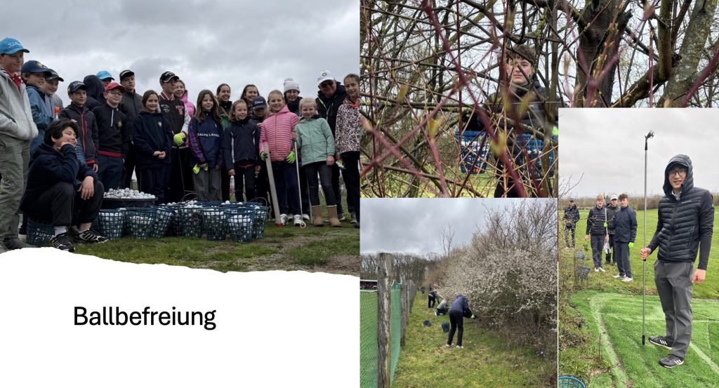 Gruppe von Kindern und Jugendlichen auf einem Golfplatz, die gemeinsam Golfbälle aus Büschen und vom Gelände sammeln.