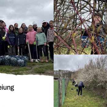 Gruppe von Kindern und Jugendlichen auf einem Golfplatz, die gemeinsam Golfbälle aus Büschen und vom Gelände sammeln.